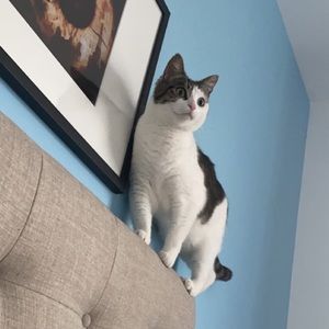 Meet your Posher, Arushi